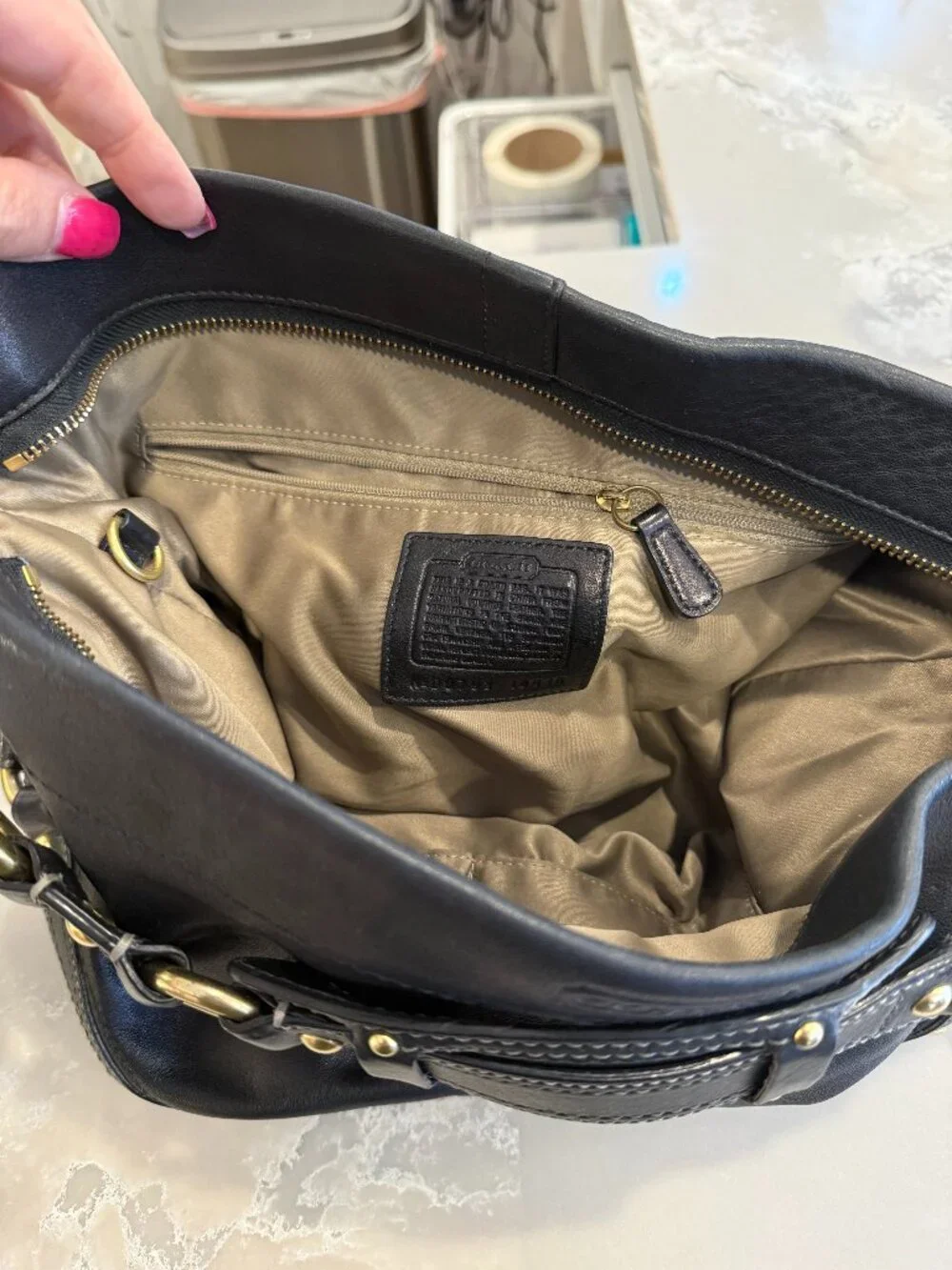 COACH Carly Hobo Bag (Large - Style #60616)